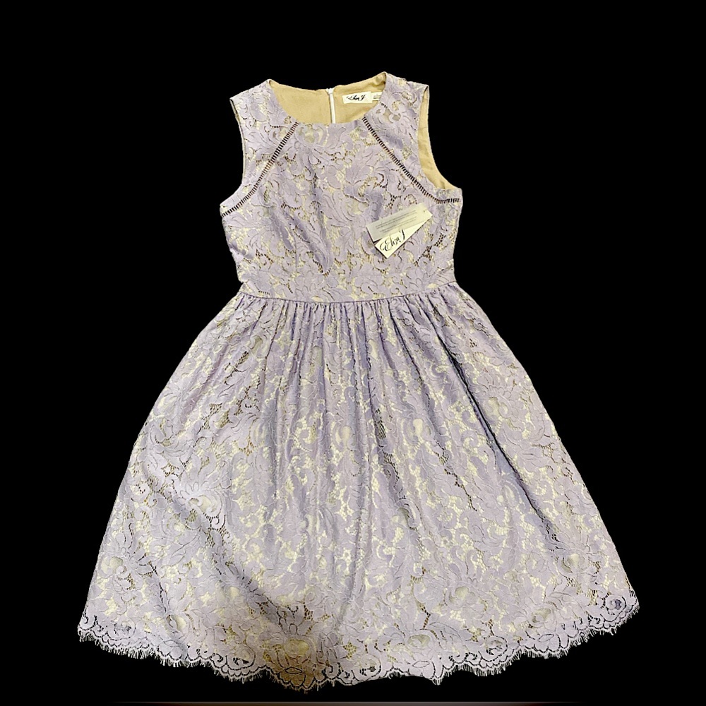 Eliza J fit and flare dress